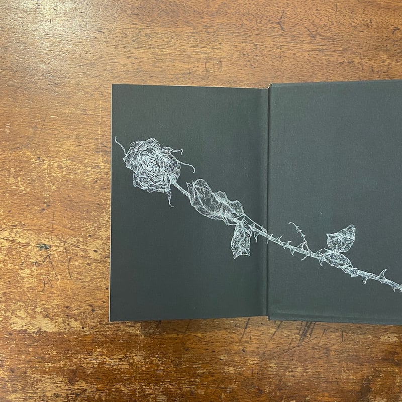 【ジャン・ジュネ・セット】3冊 ジャン・ジュネ全集 全4巻セット」平井啓之 朝吹三吉 訳 村上芳正 装幀