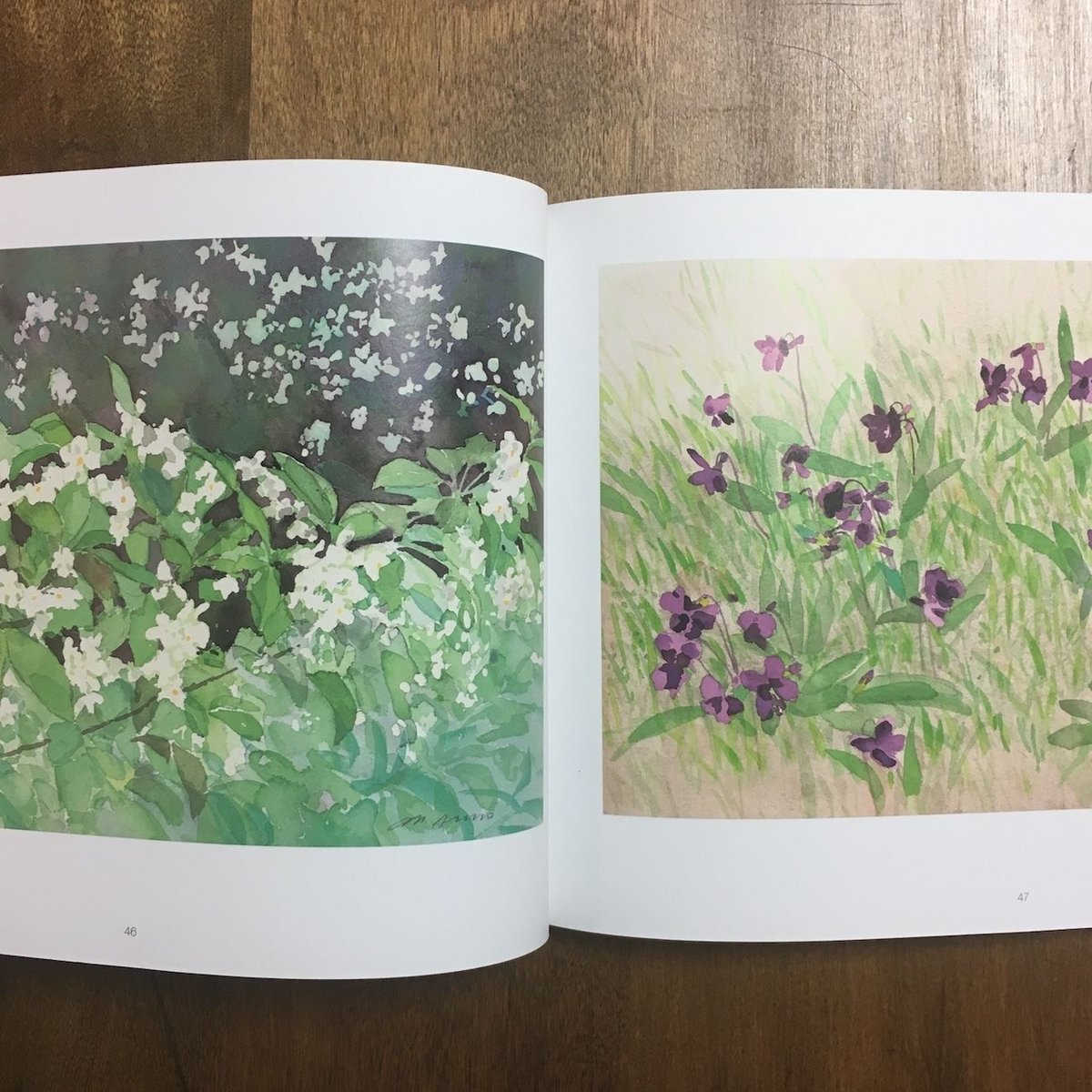 安野光雅　三国志展　図録 安野光雅 繪本 三国志展 - ノースブックセンター