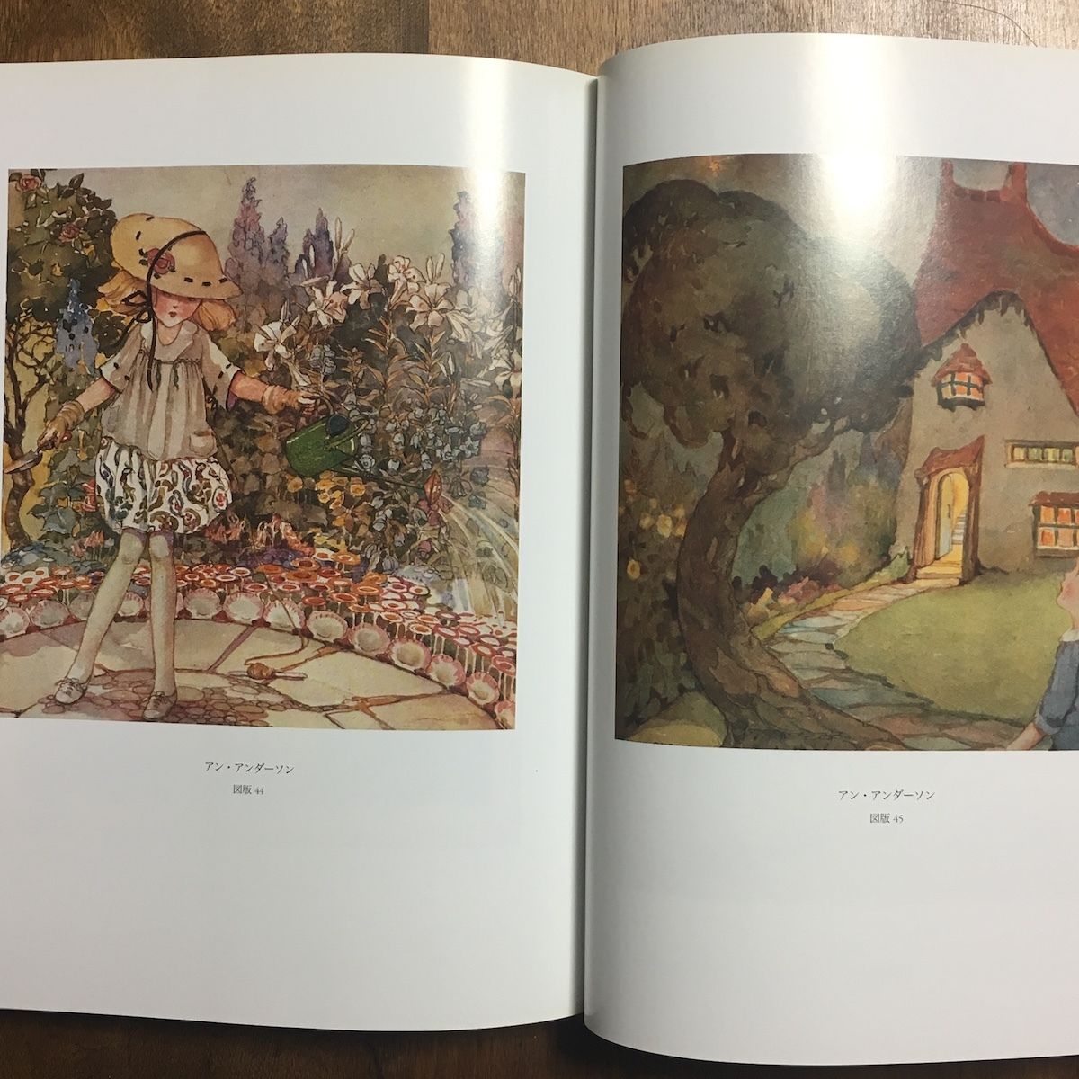 青い鳥】F.ケイリー ロビンソン 挿絵本 挿画24点 1911年 米国初版