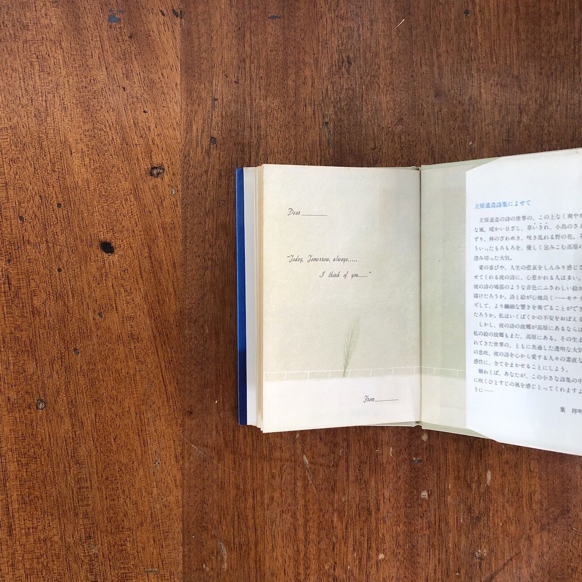 立原道造詩集 夢みたものは・・・」小海永二 編 葉祥明 絵