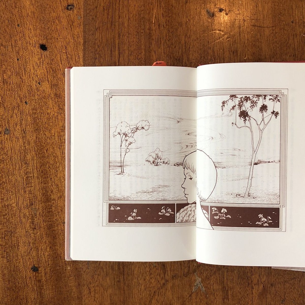 fit=scale-down,w=1200