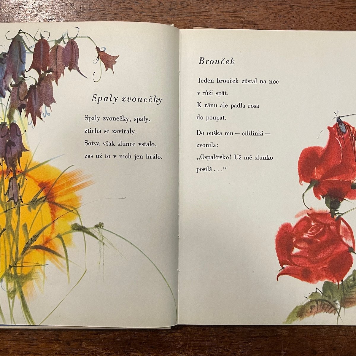 Trnky brnky na ty hrnky（1964年）」Krista Bendova