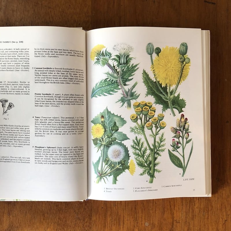 The Oxford Book of Wild Flowers」B.E.Nicholson