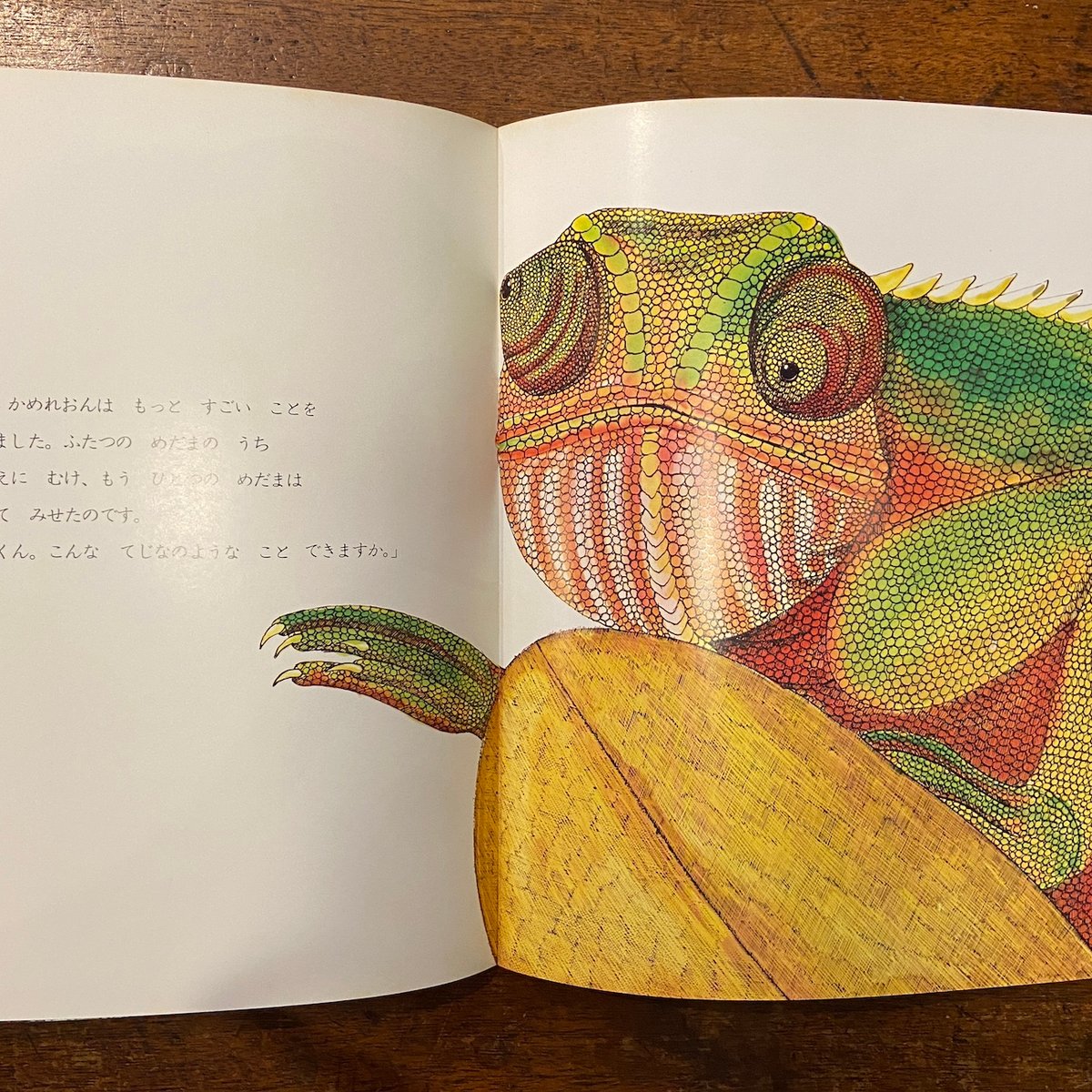 Picture-Book World　世界の絵本　ベッティーナ・ヒュルリマン ベッティーナ・ヒューリマン 子どもの本の世界ー300年の歩み 野村泫 訳