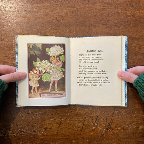 「FAIRIES OF THE TREES（1960年頃）」Cicely Mary Barker（シシリー・メアリー・バーカー）