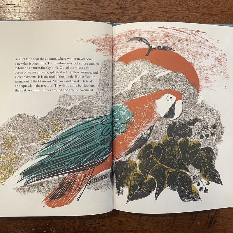 Burra、Storm in the Jungle、希少画集画、新品額付 Amazon.co.jp: 映像作品集20巻 ~ASIAN KUNG-FU GENERATION Tour