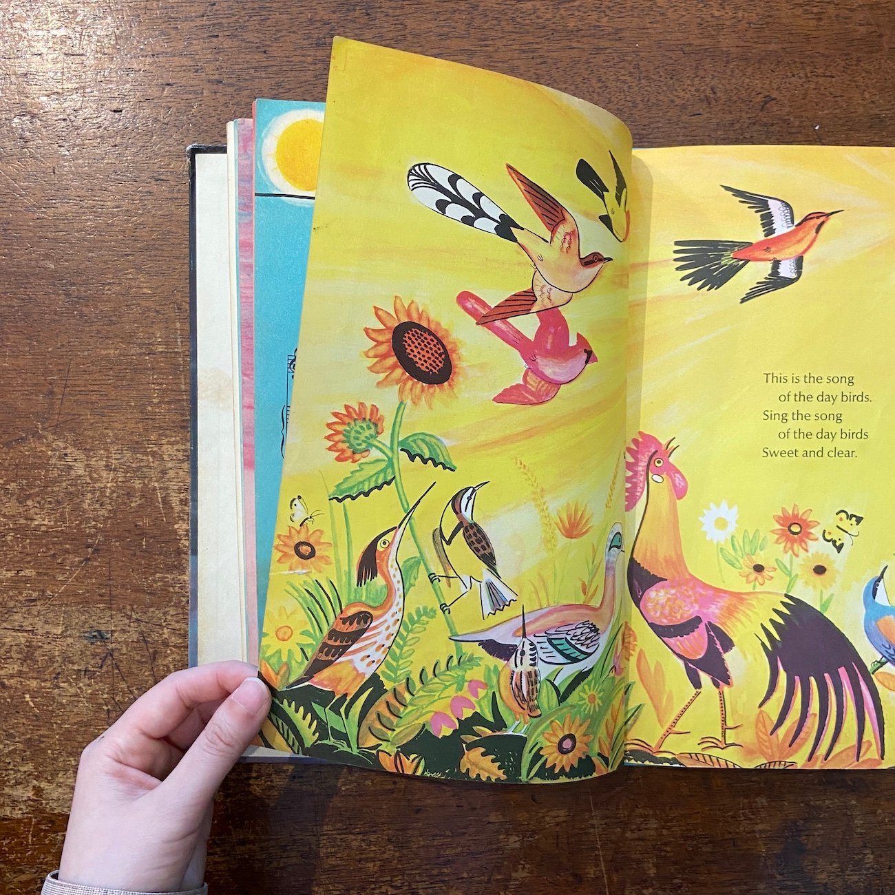 絵本・児童書 the song of the DAY BIRDS ... The Song of the Day Birds and the Night Birds（