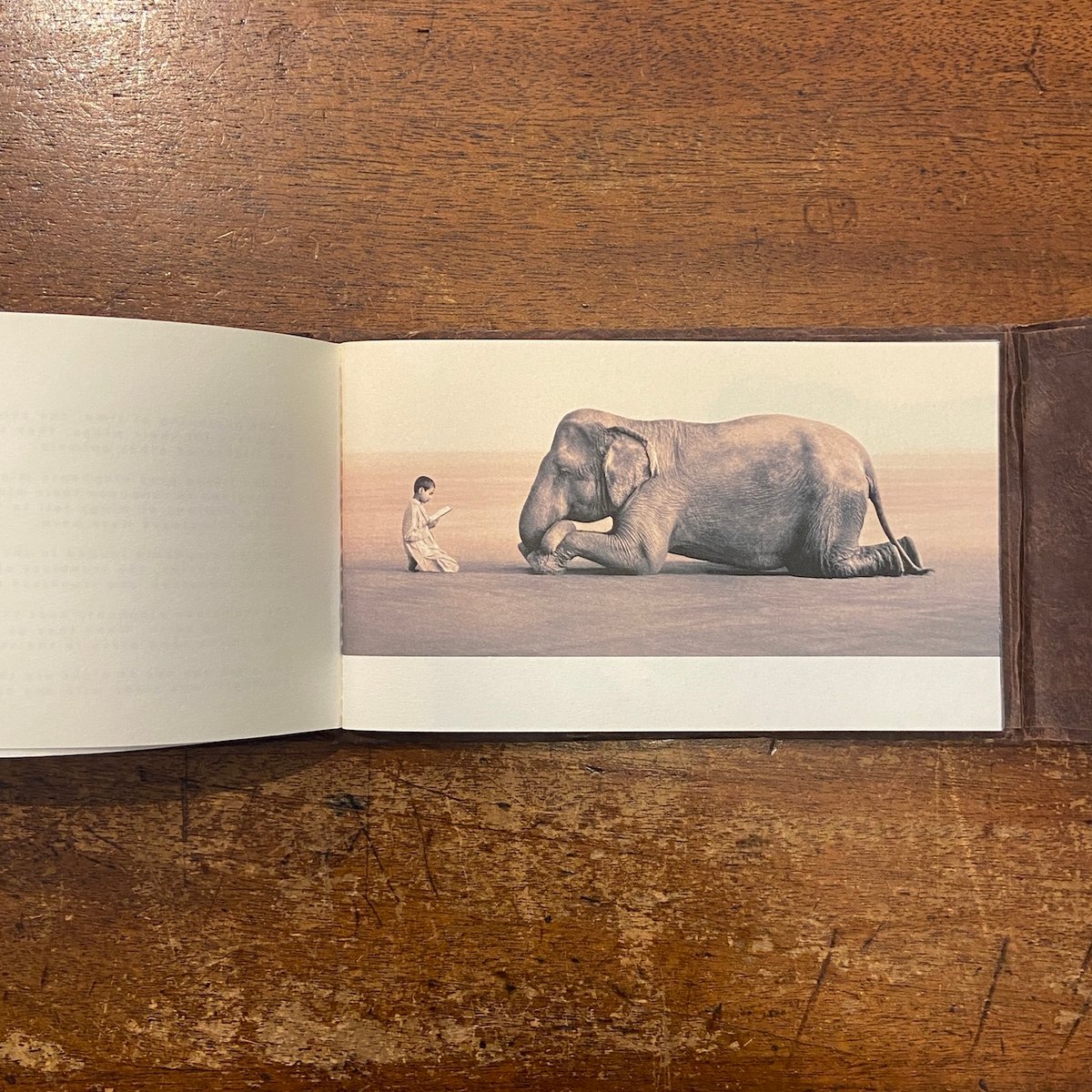 Ashes and Snow The Skies are Filled with Flyin