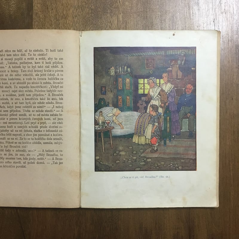 BROUCCI 絵本　JAN KARAFIAT BROUCCI - 絵本・児童書・古雑誌 のらねこ古書店