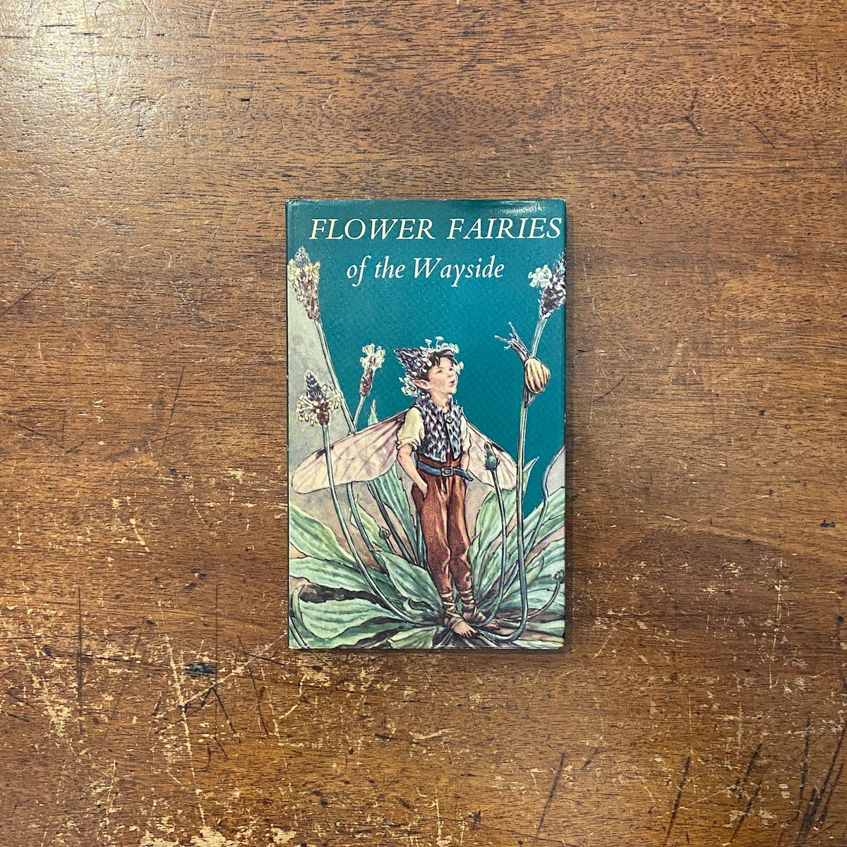 新品メアリーバーカー ステンドグラスCandytuftFairyグラスマスターズ