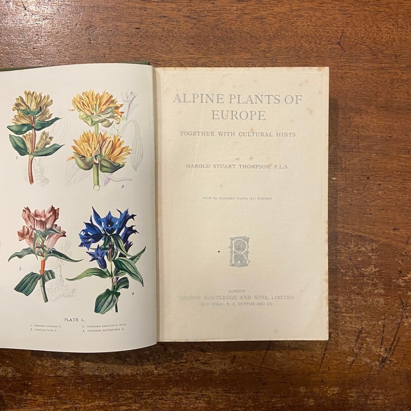 Alpine Plants of Europe Sixty-Four Coloured Pl