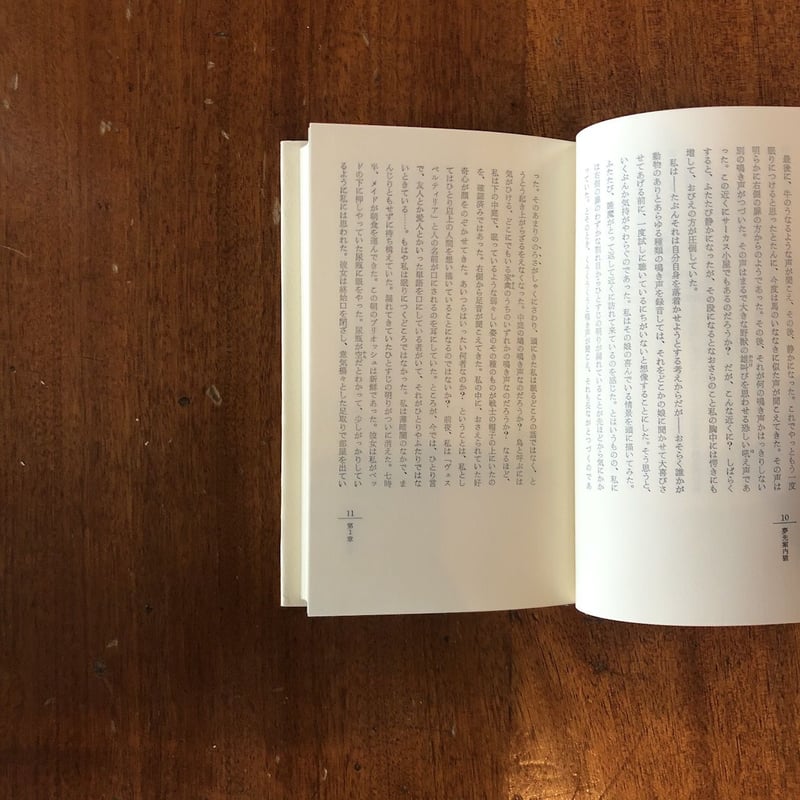 夢先案内猫」レオノール・フィニ | Frobergue online store