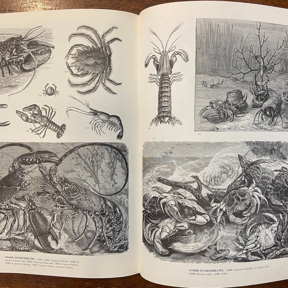 66a5c87177bc66074e323ddc