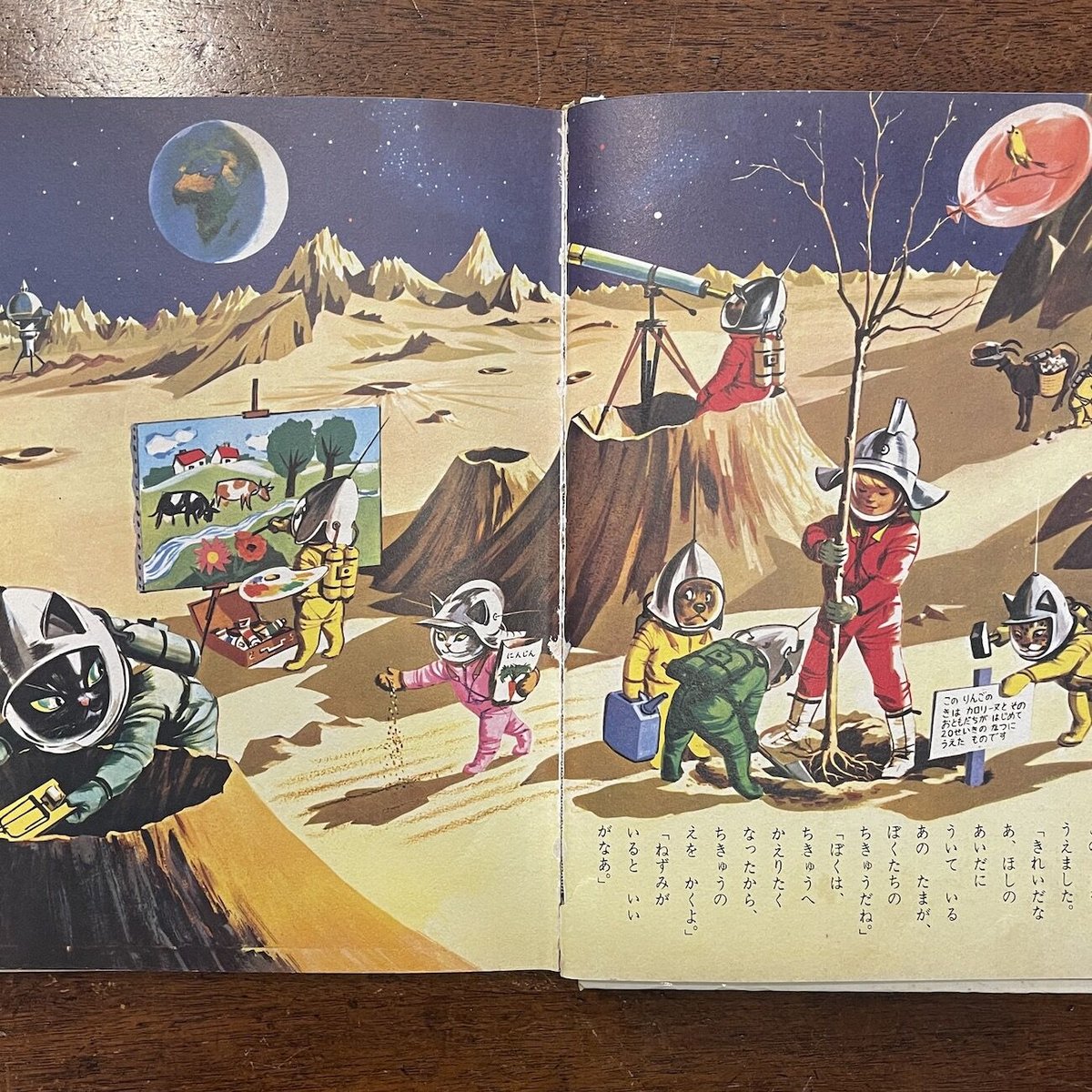 カロリーヌシリーズ絵本「UNE FETE」1957年刊 ピエール.プロブスト - 洋書