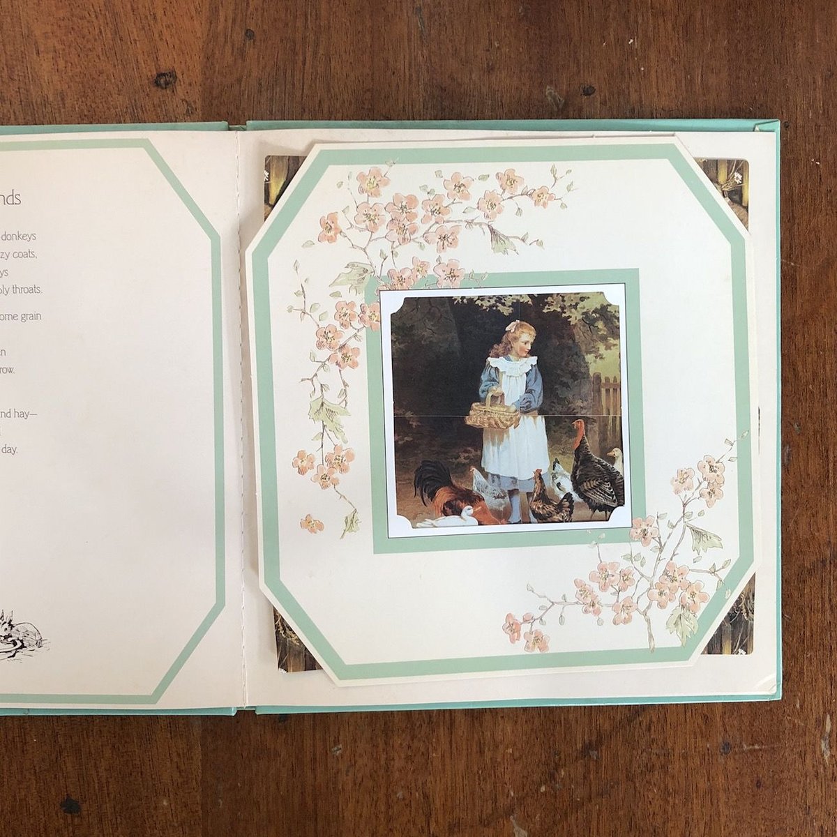 My Nature Library 絵本セット 5冊 ダウンロード特典付)こだわり塗り絵シリーズ 和みうさぎ Rabbits