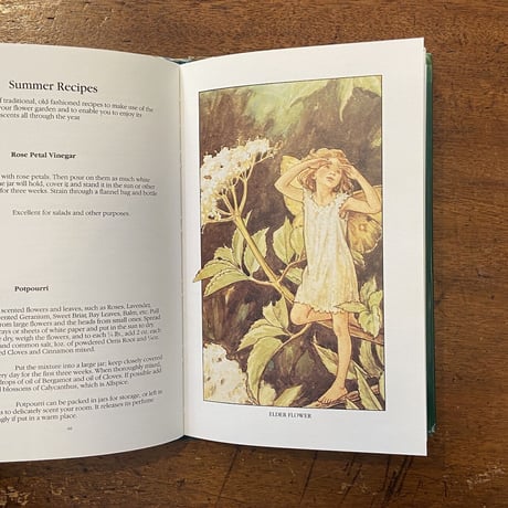 「The Flower Fairies Gardening Year」Cicely Mary Barker（シシリー・メアリー・バーカー）
