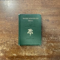「WAYSIDE & WOODLAND TREES（1940年）」Edward Step