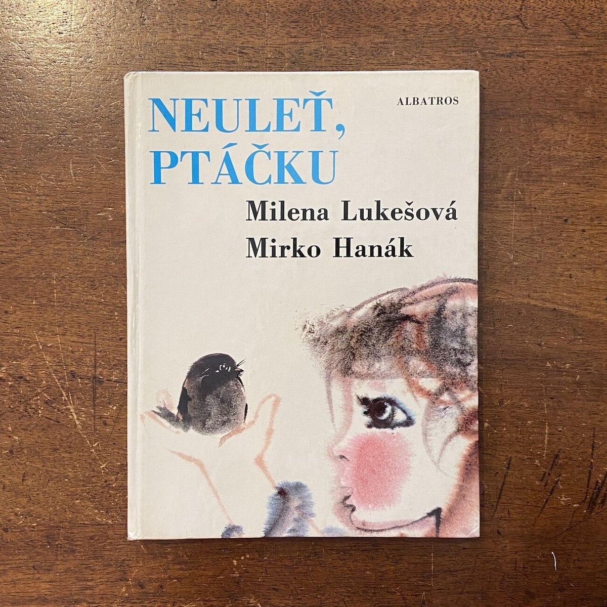 Mirko Hanak/ Milena Lukesova ヴィンテージ本　⭐︎レア Neulet , Ptacku」Milena Lukesova Mirko Hanak（ミル