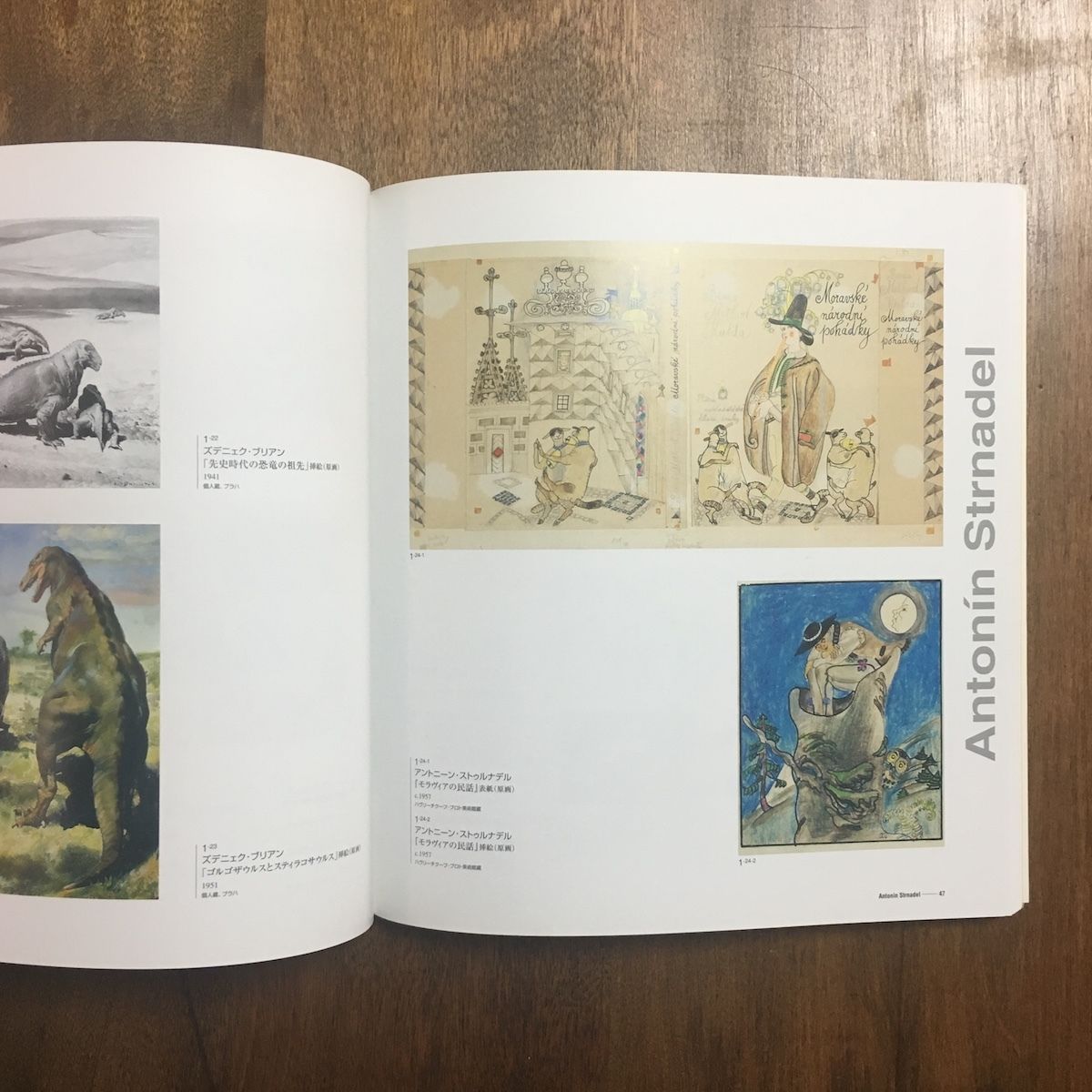 チェコ絵本とアニメーションの世界 チェコ絵本とアニメーションの世界 / ハナ書房 / 古本、中古本、古書籍