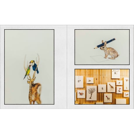 ＜新品商品＞「どうぶつ会議展　図録」junaida／ヨシタケシンスケ／鴻池朋子 他