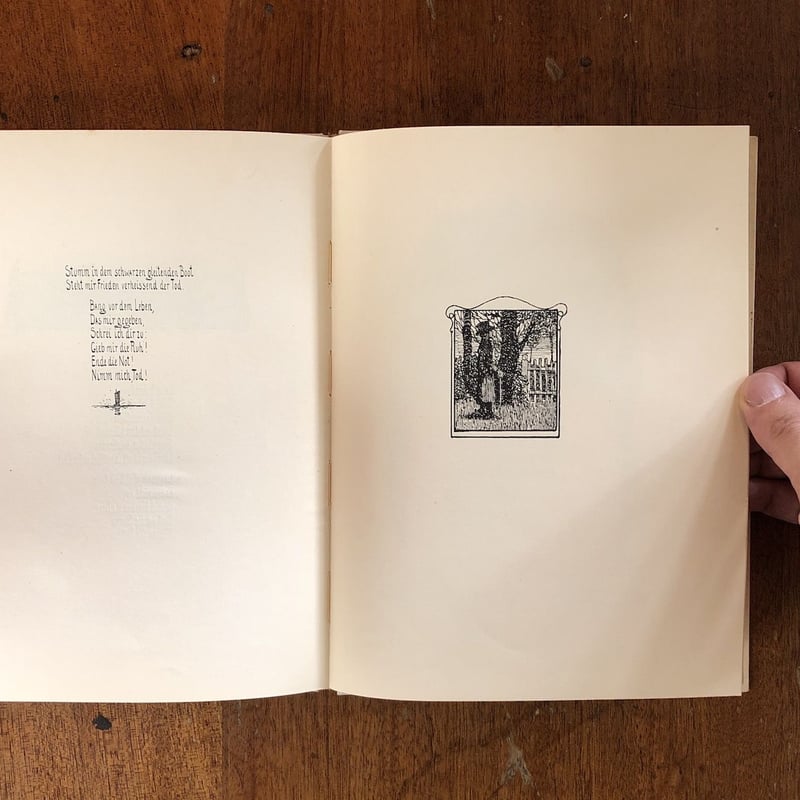 (珍しい本) DIES IRAE PAOLO PELLEGRIN (洋書) 珍しい本) DIES IRAE PAOLO PELLEGRIN (洋書) 珍しい本) DIES