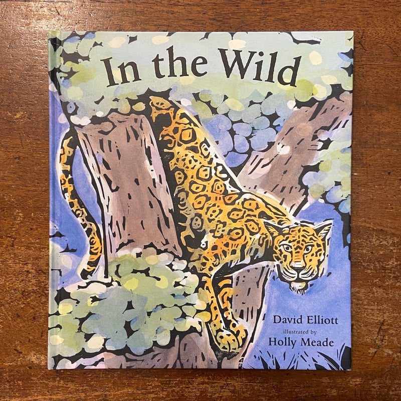 有點野／A LITTLE WILD [CD] 溫嵐 = Landy – 有點野 = A Little Wild – CD (Slipcase, Album) + CD