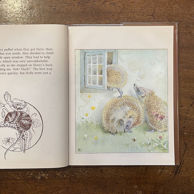 THE HEDGEHOG FEAST」Rowena Stott Edith Holden |