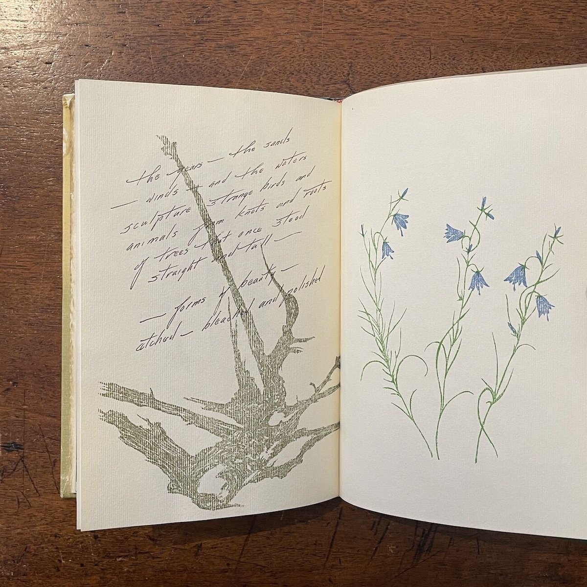 1960年グウェン・フロスティック These things are ours. These things are ours - written, illust, signed by Gwen