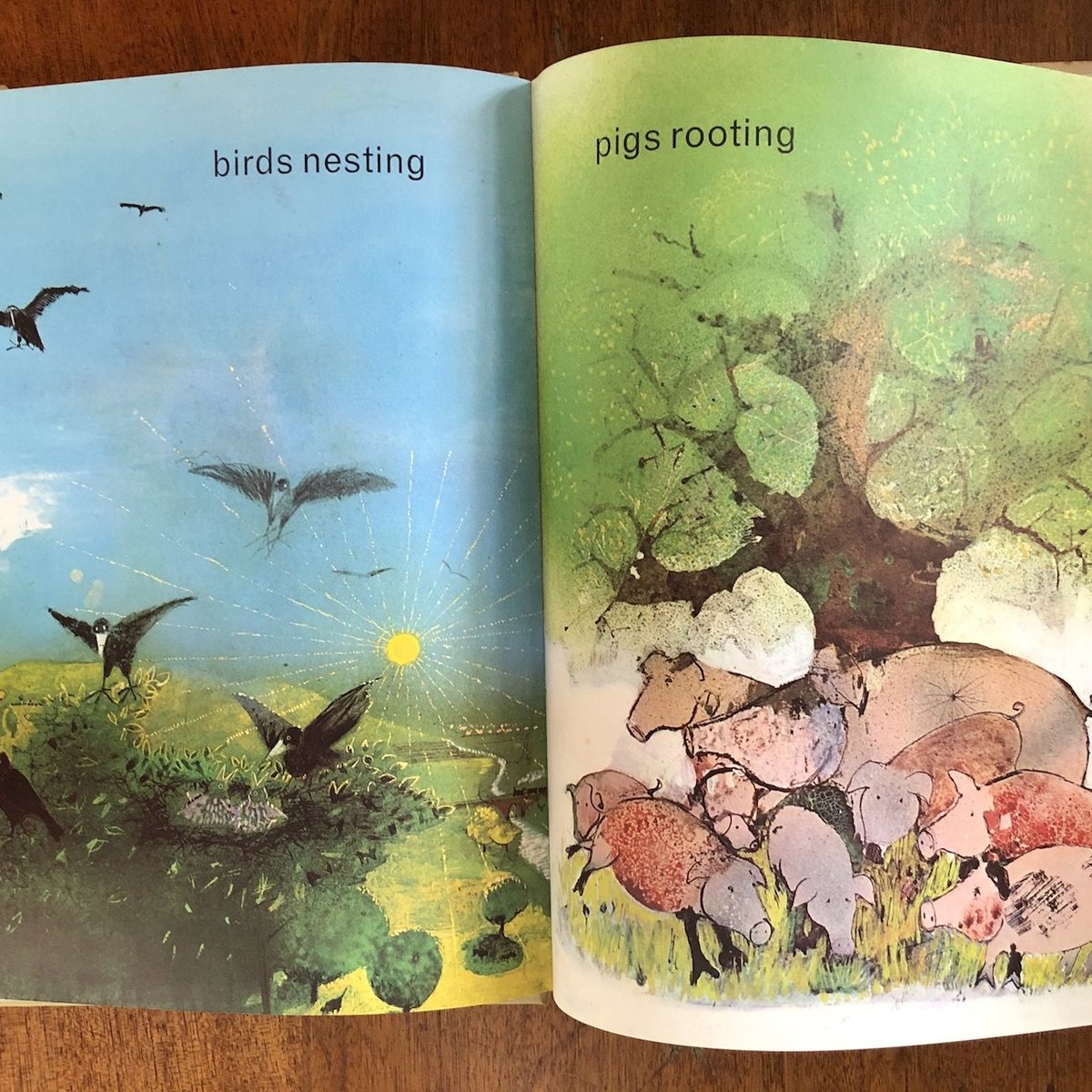 SEASONS」John Burningham（ジョン・バーニンガム） | Frobergu
