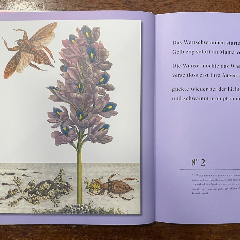 Maria Sibylla Merian 植物画とドイツ語解説 Maria Sibylla Merian