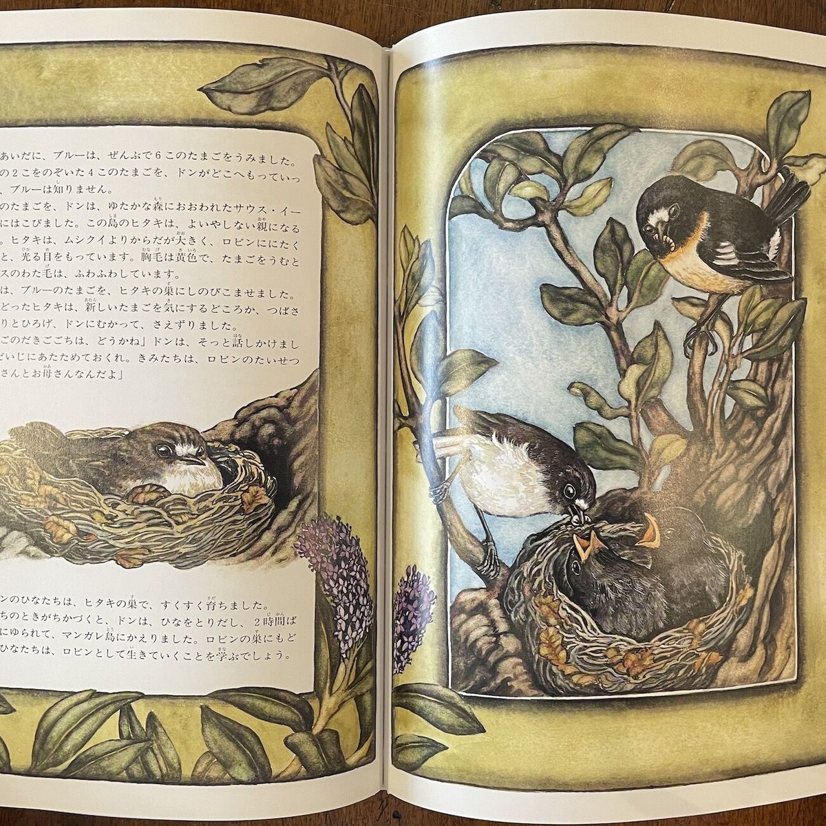 オールド・ブルー 世界に1羽の母鳥」メアリー・テイラー オールド・ブルー 世界に1羽の母鳥」メアリー・テイラー