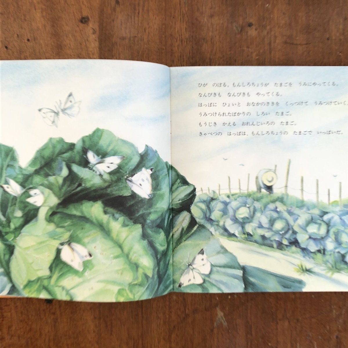 【中古】 異文化に育つ子どもたち/有斐閣/小林哲也 異文化に育つ子どもたち | 有斐閣