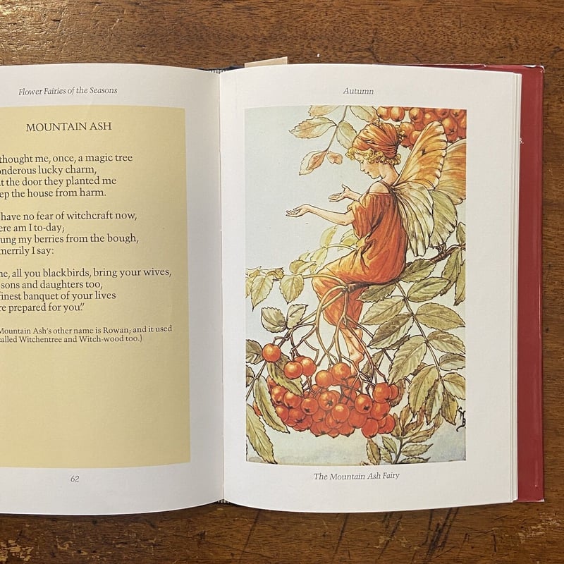 FLOWER FAIRIES OF THE SEASONS」Cicely Mary Bark