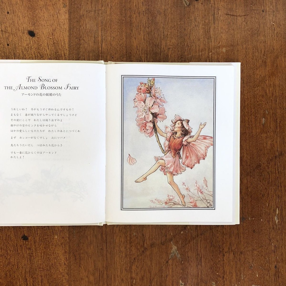 花の妖精たち 木」シシリー・メアリー・バーカー 白石かずこ 訳 花の妖精たち 木」シシリー・メアリー・バーカー 白石かずこ 訳