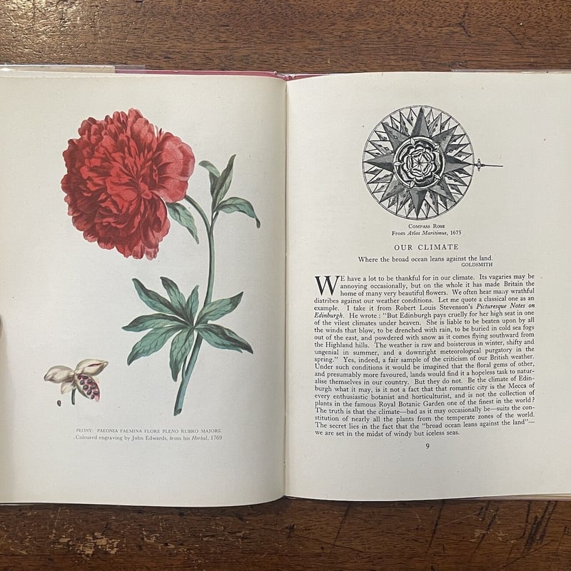 BRITISH GARDEN FLOWERS（1946年）」George M. Taylor