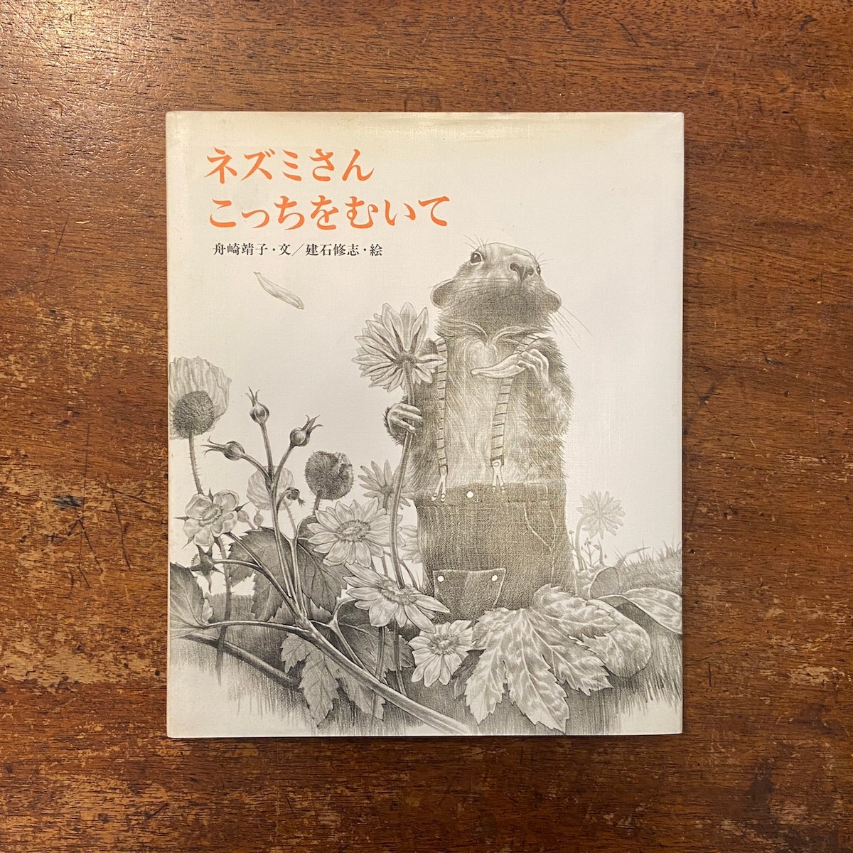 亀八 舟崎靖子 亀八 舟崎靖子 亀八 舟崎靖子 Amazon.co.jp: 亀八 (偕成社の創作) :
