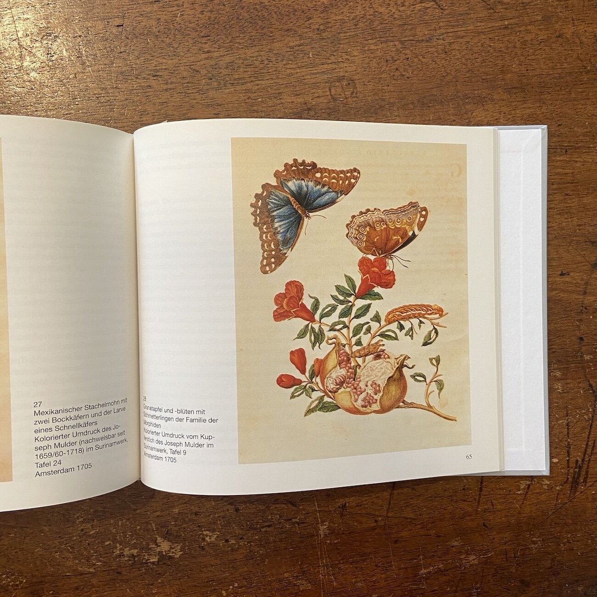 Maria Sibylla Merian：Leben und Werk 1647-1717」