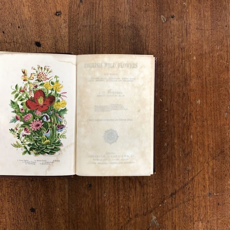 「ENGLISH WILD FLOWERS」J. T. Burgess