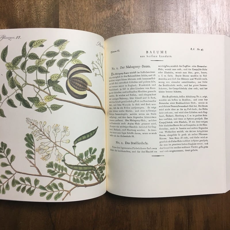 BILDERBUCH FUR KINDER（子どものための絵本 ベルリン