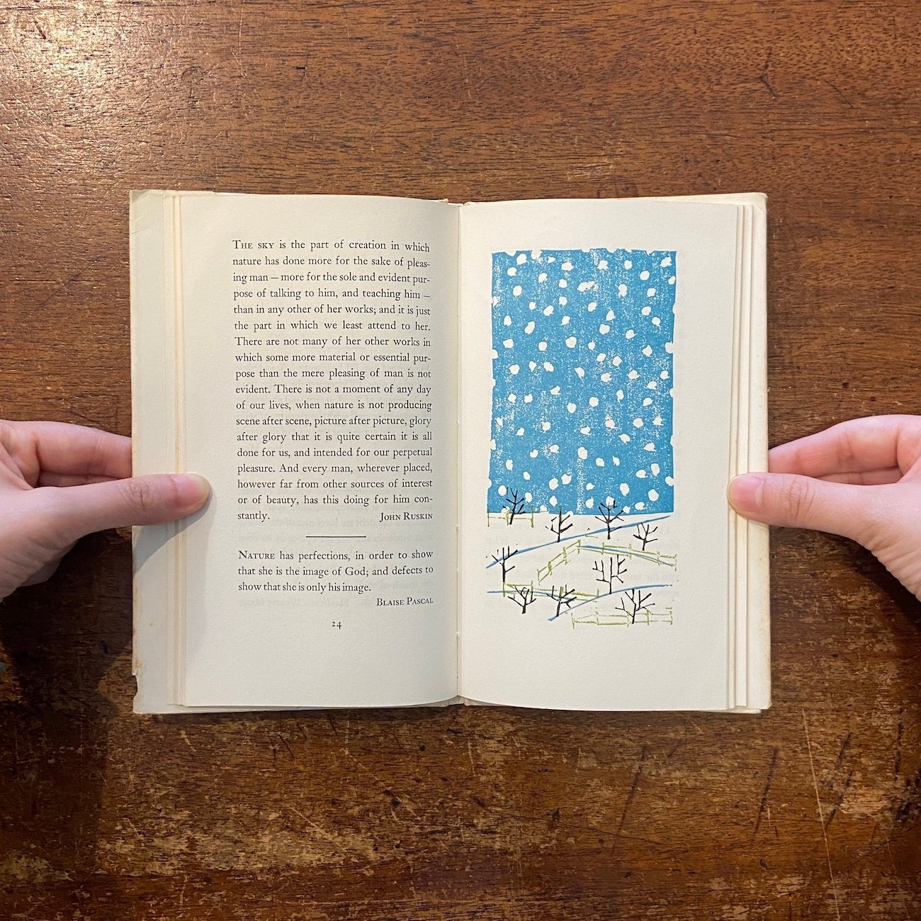 Nature Thoughts：A Selection」Louise Bachelder E