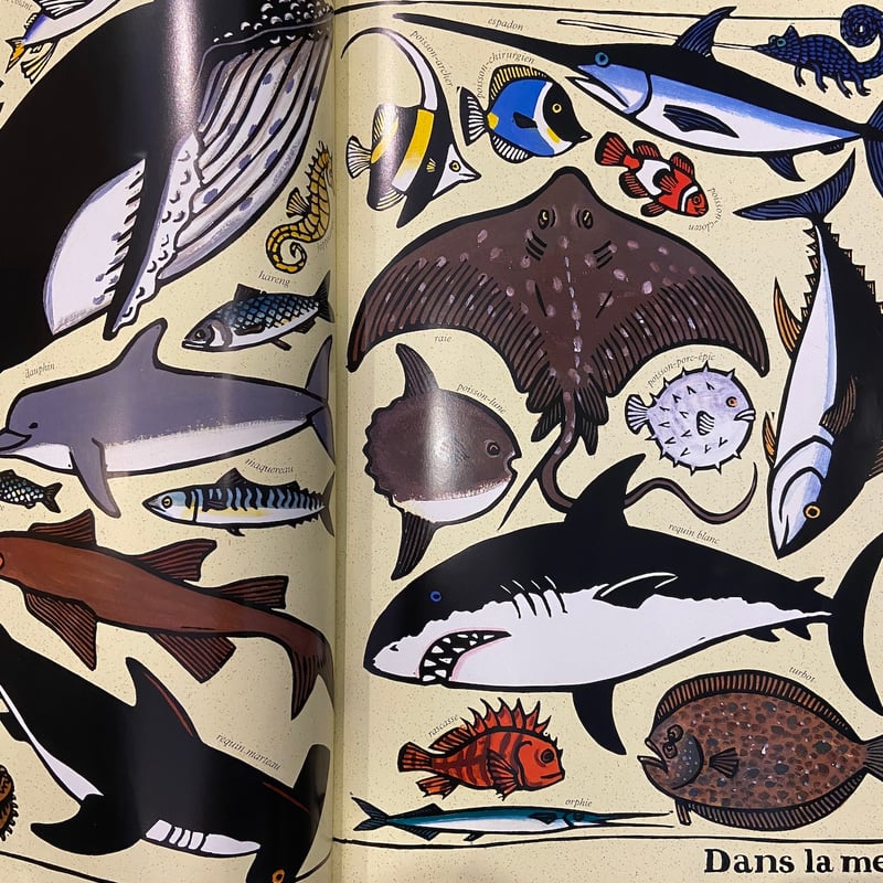 ZOO LOGIQUE」Joelle Jolivet（ジョエル・ジョリヴェ） | Frobe