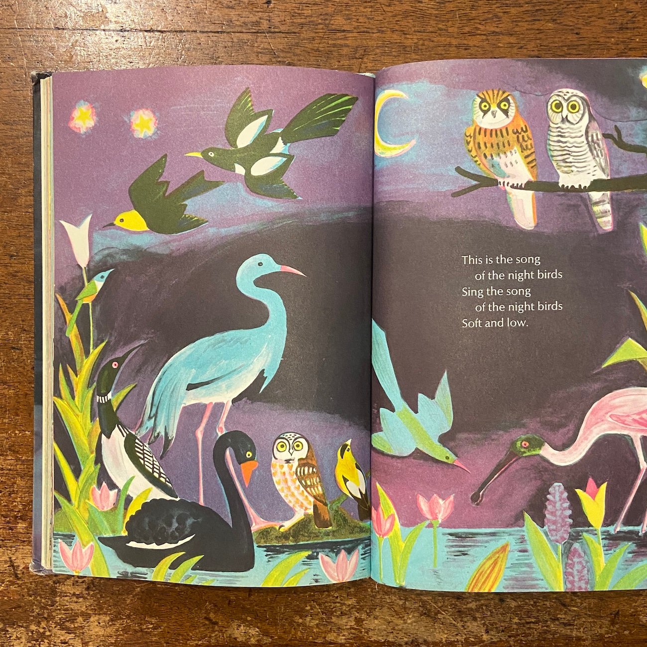絵本・児童書 the song of the DAY BIRDS ... The Song of the Day Birds and the Night Birds（