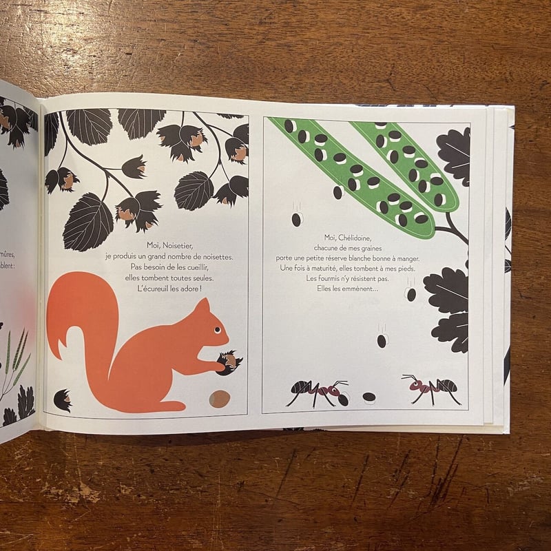 Plantes Vagabondes」Emilie Vast（エミリー・ヴァスト） | Fr