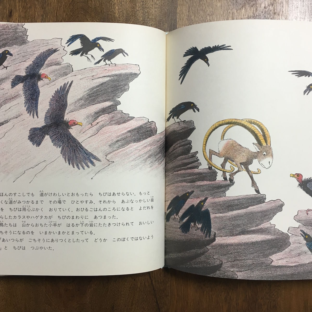 【中古】 笑える子羊 １/講談社/岡本健太郎 81TuoN7mAXL._UF350,350_QL50_.jpg