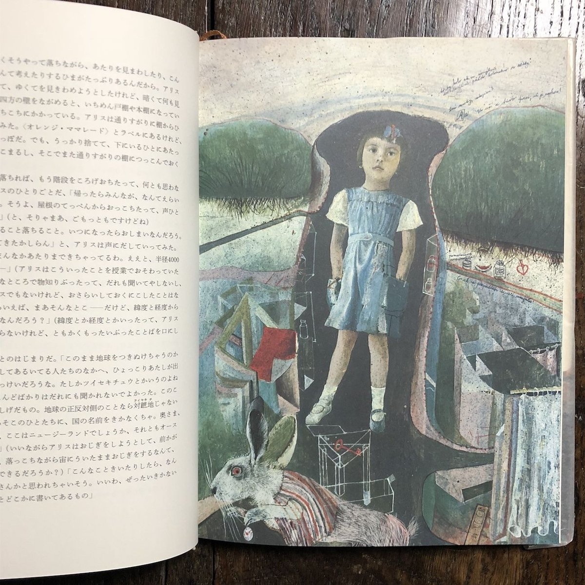 絶版　鏡の国のアリス　ドゥシャン・カーライ　ルイス・キャロル 絶版 鏡の国のアリス ドゥシャン・カーライ ルイス・キャロル