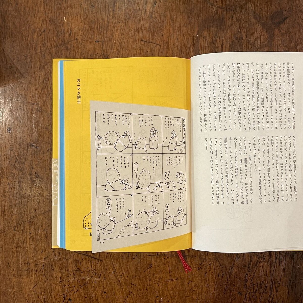 これが好きなのよ長新太マンガ集   /亜紀書房/長新太（単行本） これが好きなのよ 長新太マンガ集」長新太 | Frobergue online store