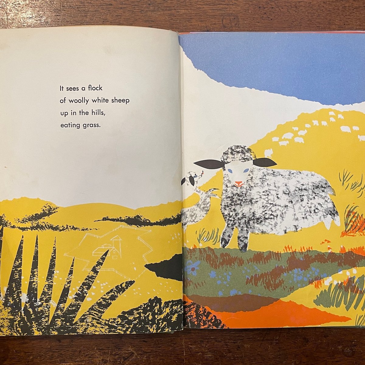 絵本　The Sun Looks Down : Abner Graboff The Sun Looks Down」Miriam Schlein Abner Grabof