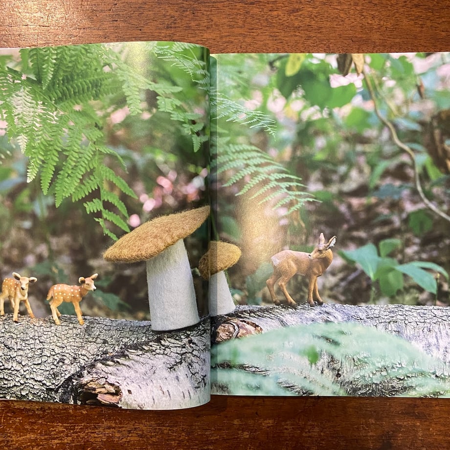 69e461ef9d9d4fb2c3c42248