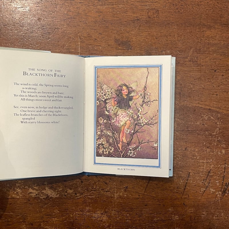 FLOWER FAIRIES OF THE WINTER」Cicely Mary Barke