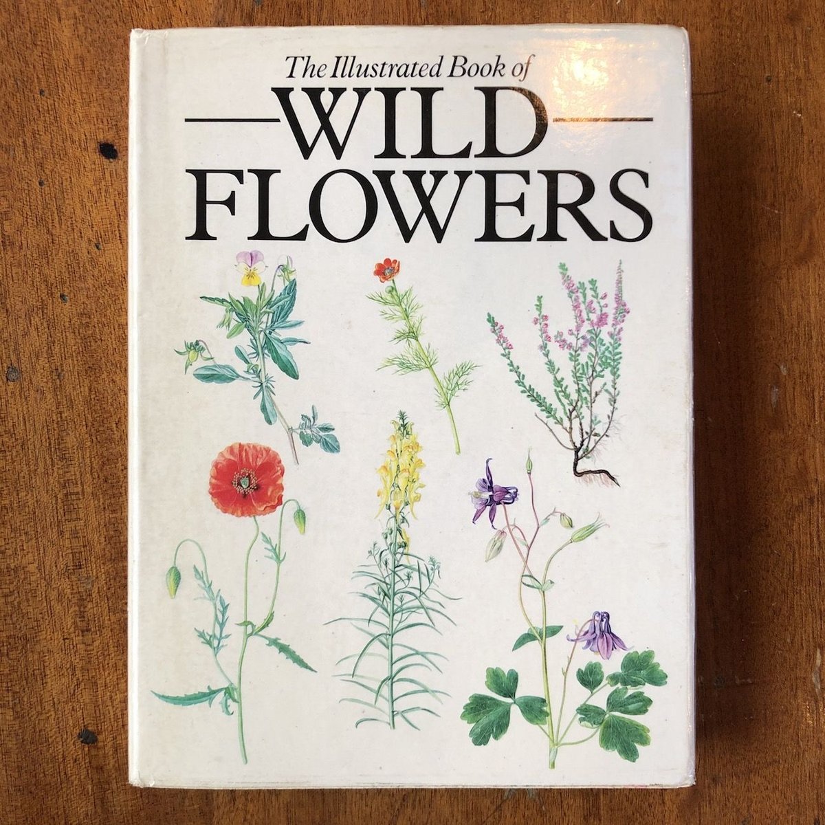 洋書　古書　A Book of Wild Flowers　植物図鑑　水彩画　画集 洋書古書 希少 Familiar Wild Flowers アンティーク植物図鑑